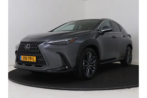 NX 450H+ Awd President Line