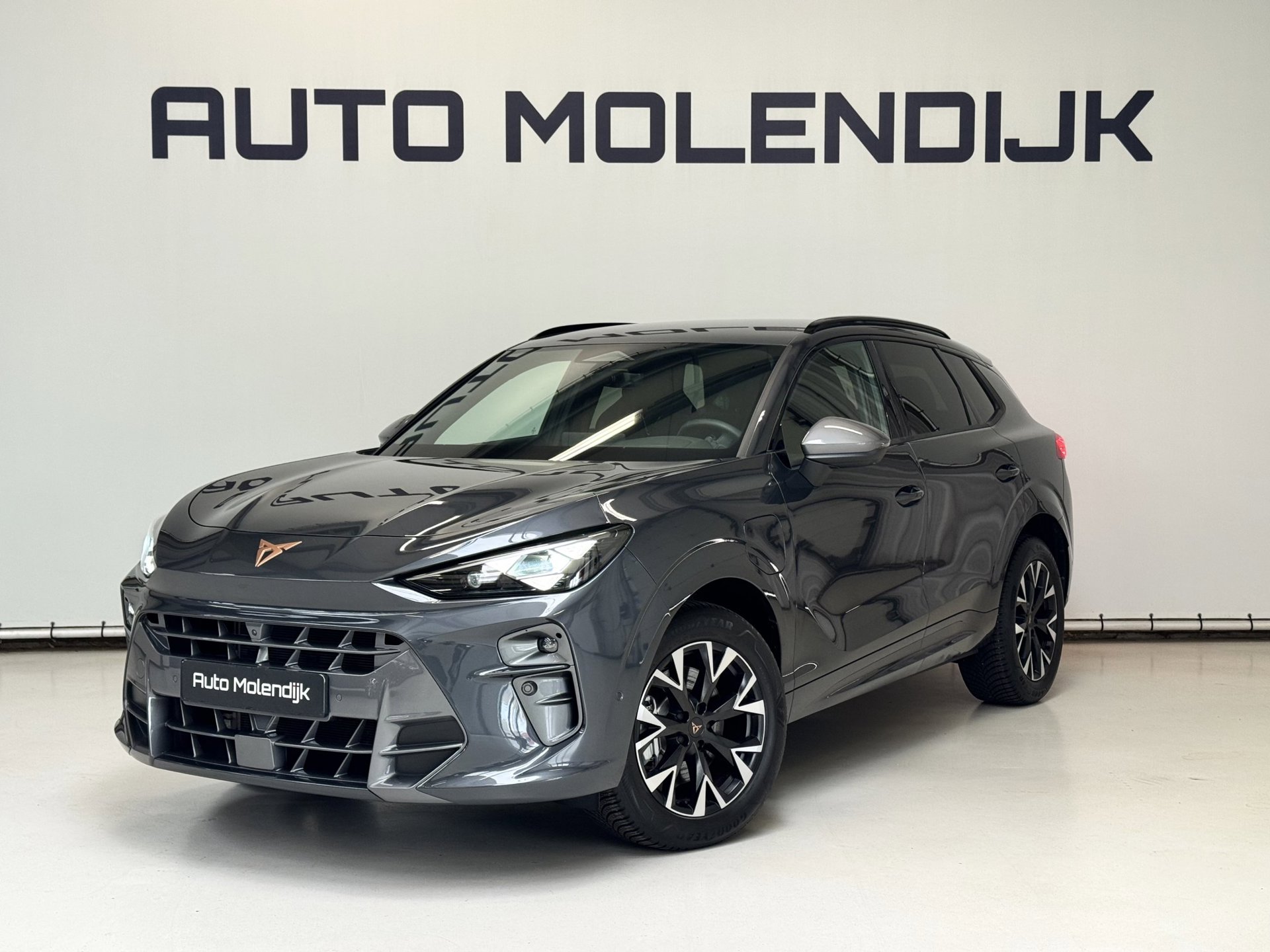 Cupra Terramar 1.5 TSI e-Hybrid HuD / el klep / Alcantara / 360 cam / 5jaar Garantie