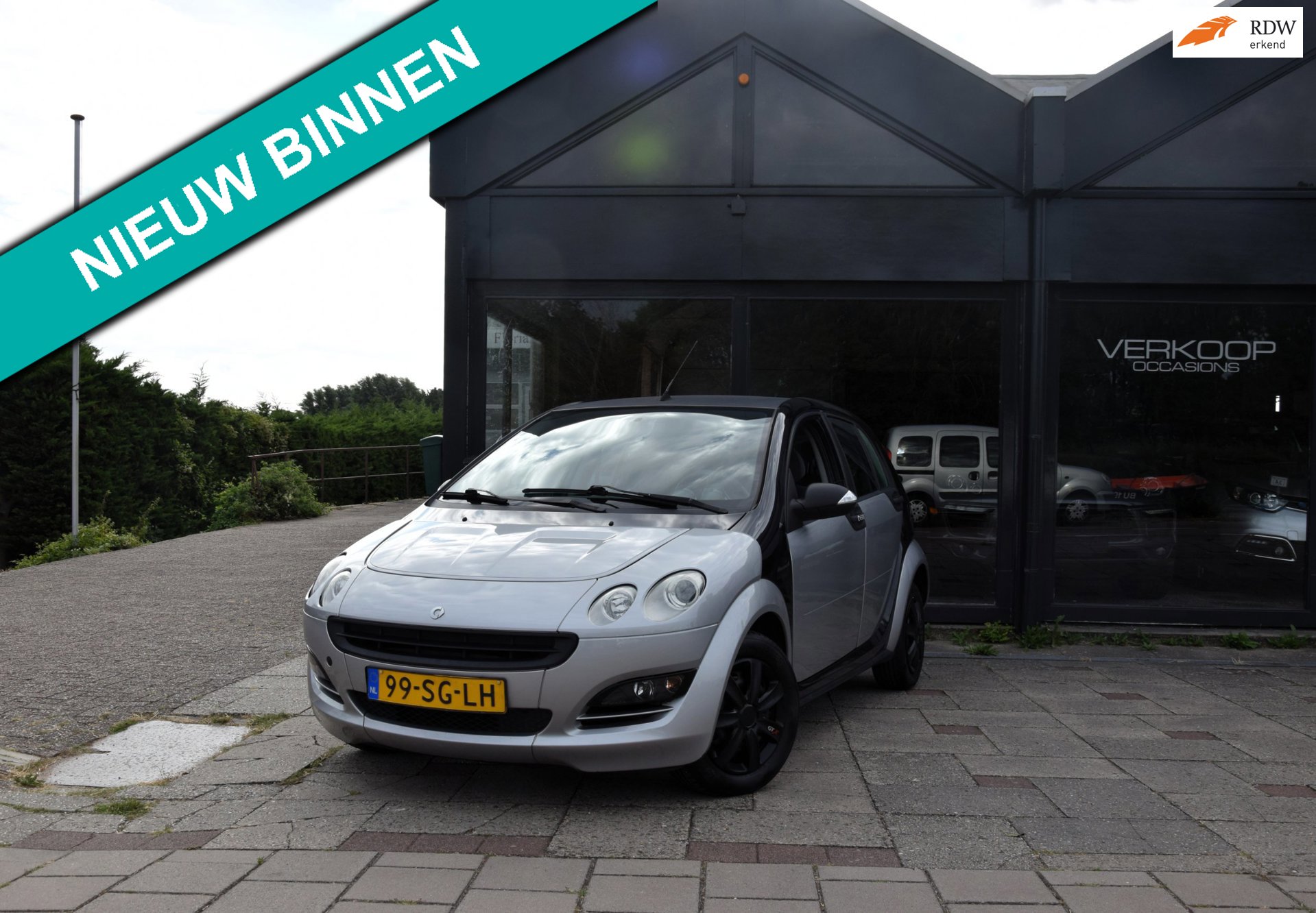 Smart Forfour 1.0 pure