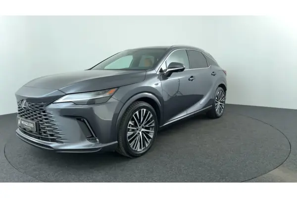 RX 450H+ Plug-In Hybrid Executive Line, Panodak, Hud!