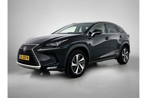 NX 300H Awd President Line