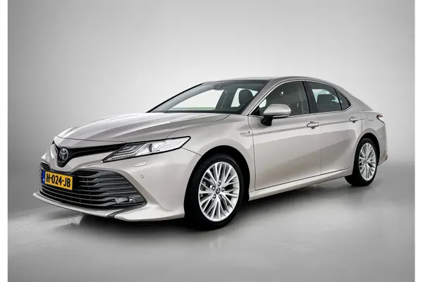 2.5 Hybrid Executive