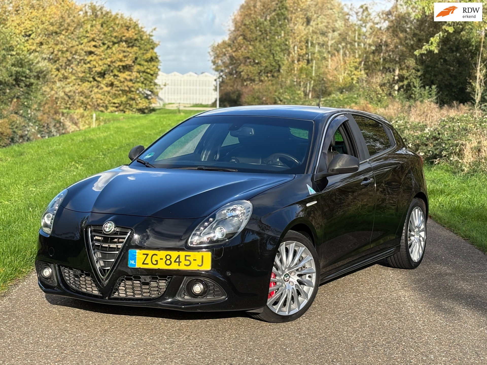 Alfa Romeo Giulietta 1.7 TBi Quadrifoglio Verde Aut/Bose/18''/Xenon