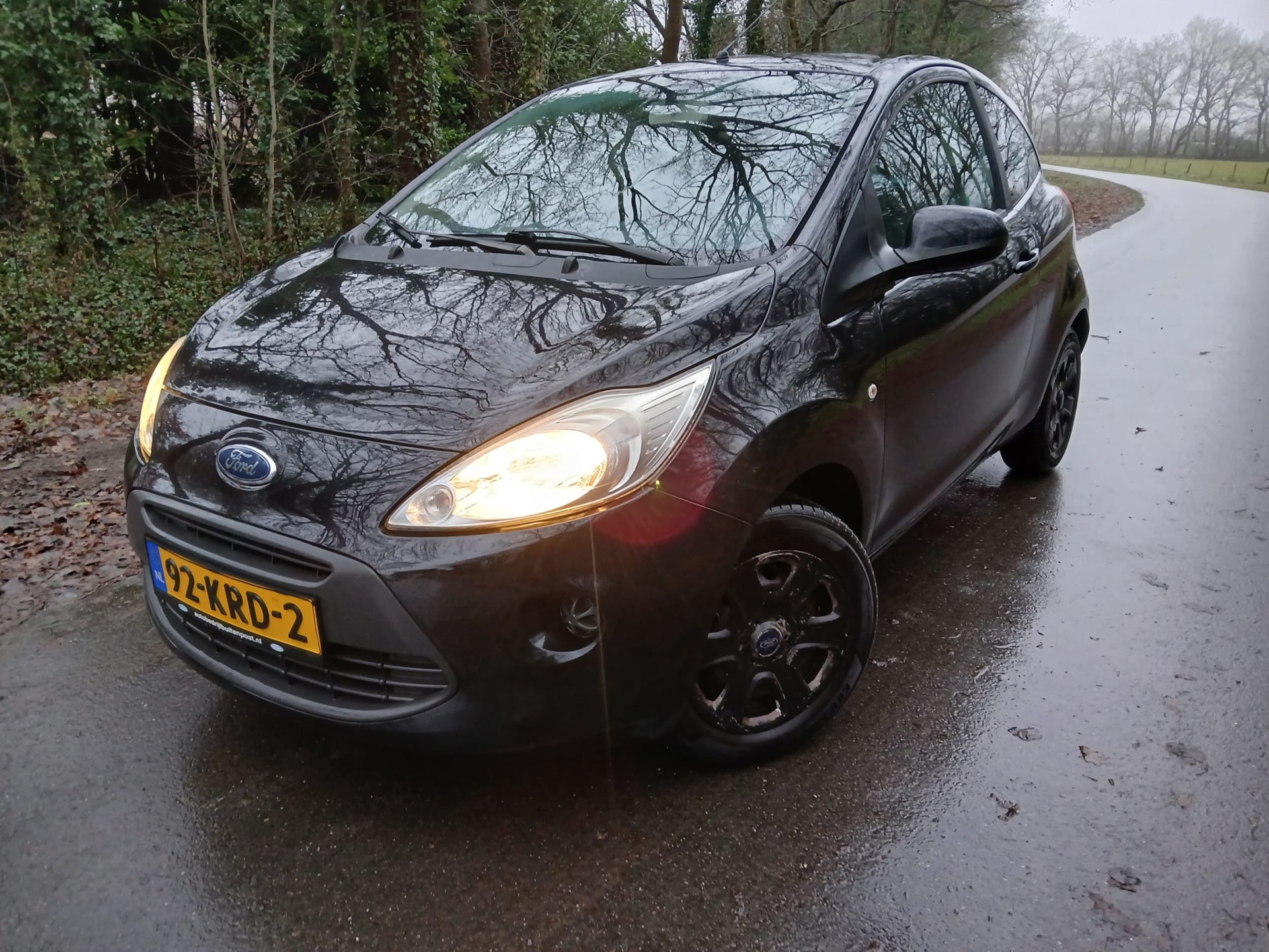 Ford Ka 1.2 Trend |NIEUWE APK|