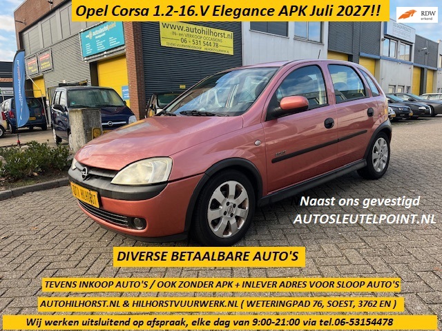 1.2-16V Elegance Diverse van €999,- tot €1999,- Enz.................