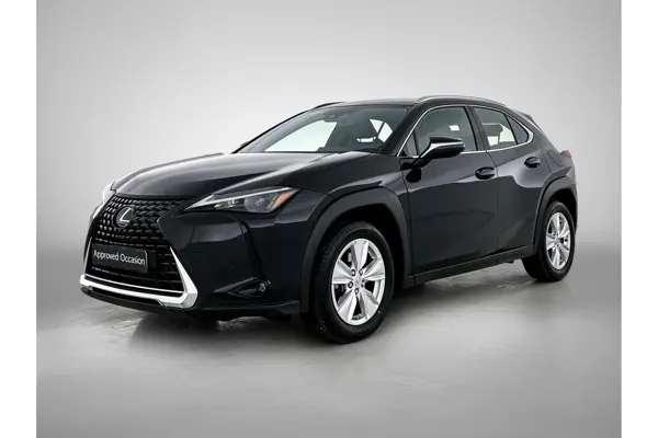 UX 250H